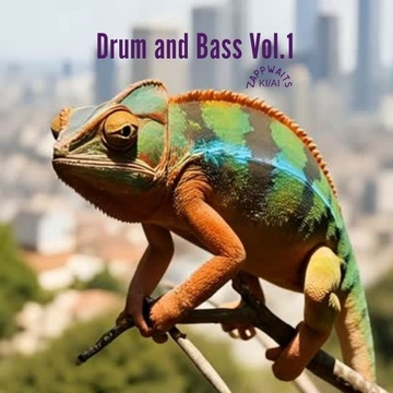 Image for Drum and Bass Vol.1