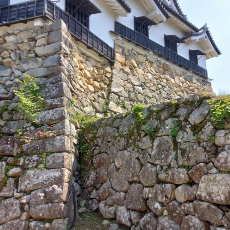 Image for 🏯ISHIGAKI METAL⚡