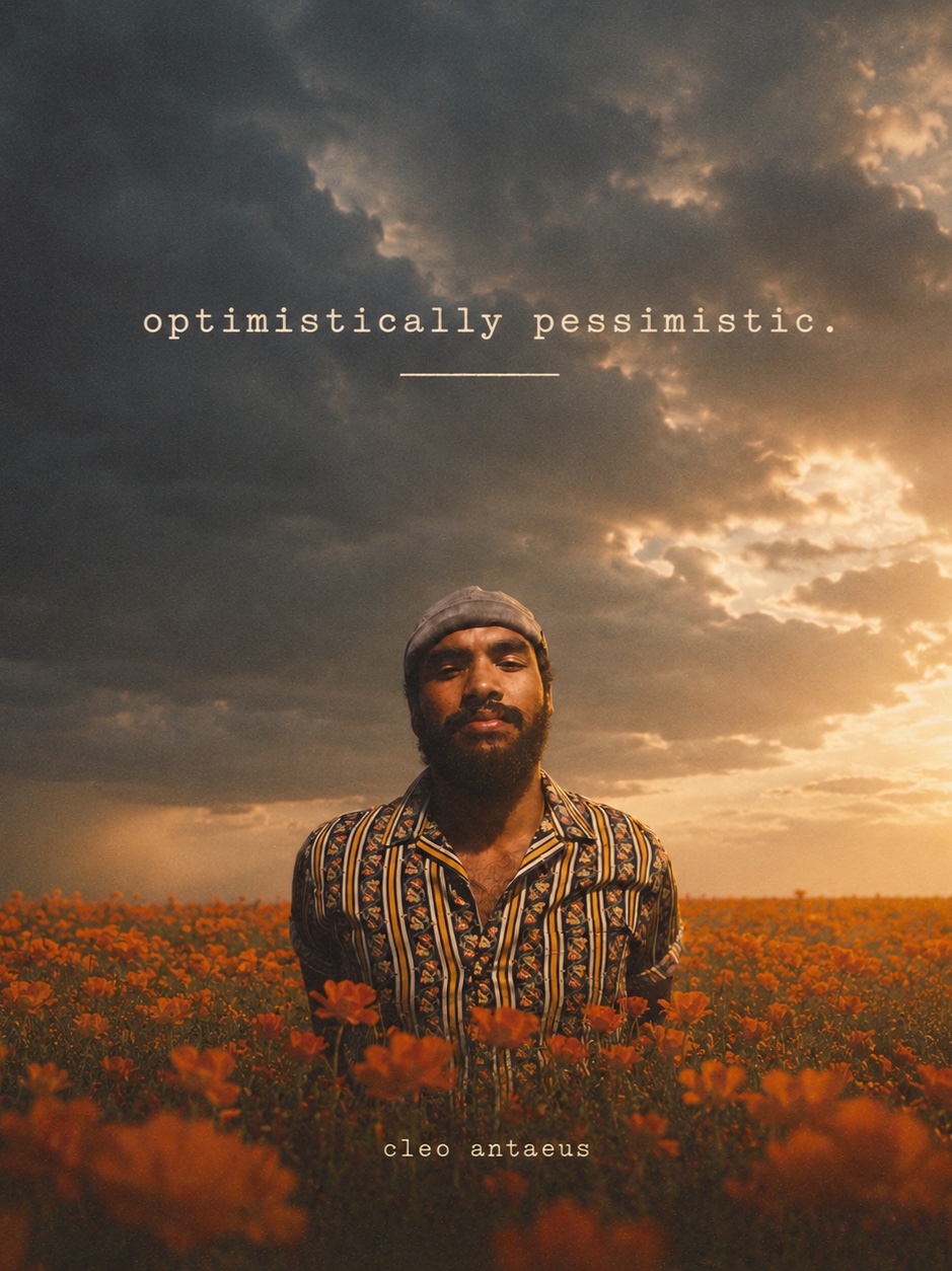 optimistically pessimistic. artwork