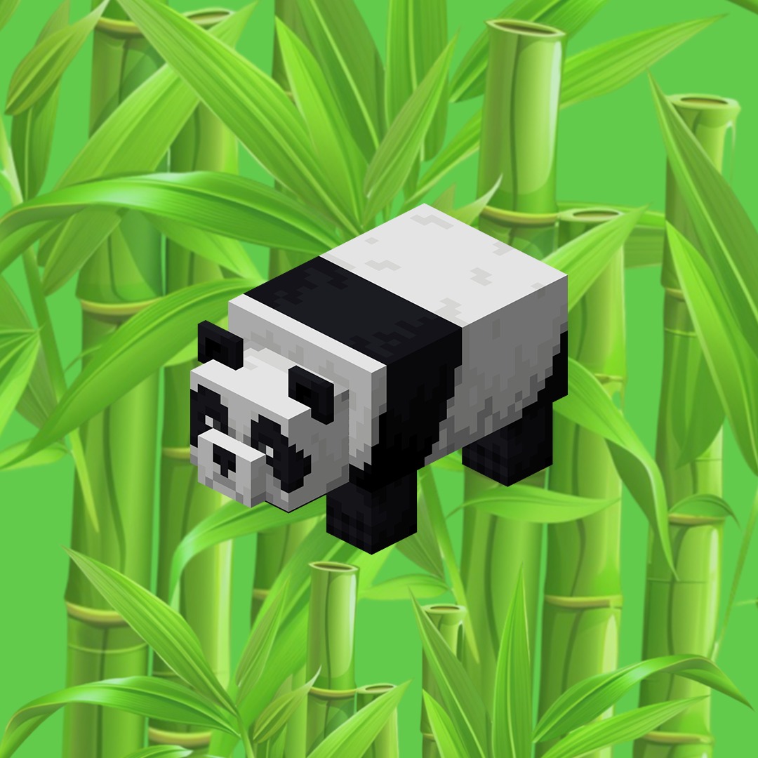 Panda artwork