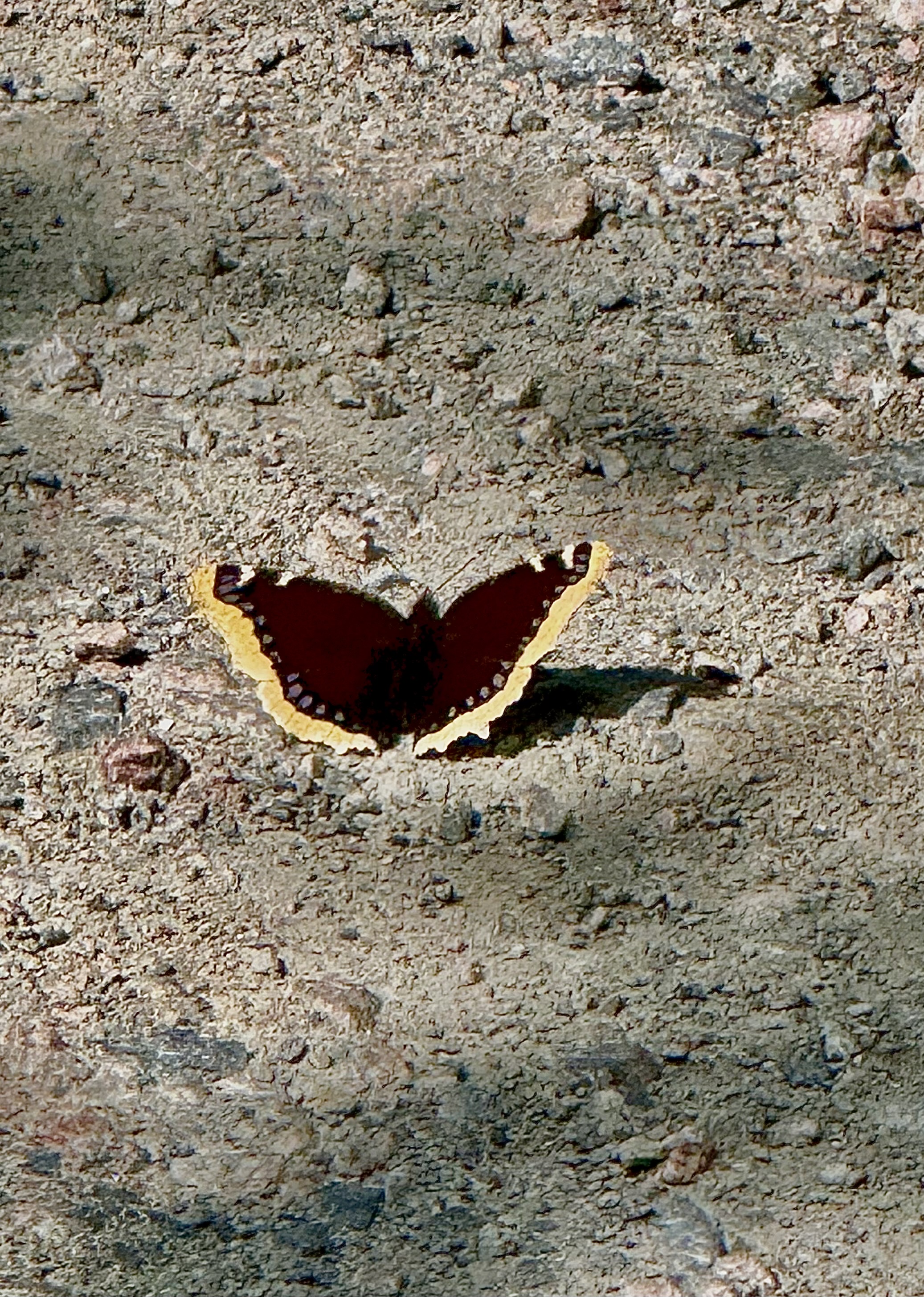 Förändring artwork