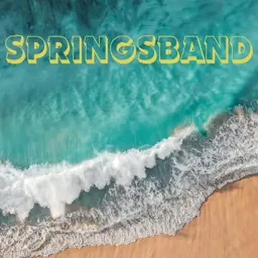 Profile picture for SpringsBand AI