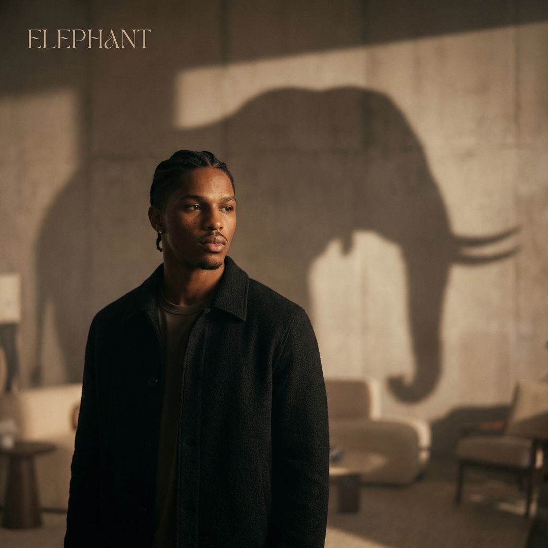 Image for ELEPHANT LP 
