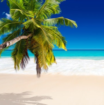 MA PLAGE PRIVEE© artwork