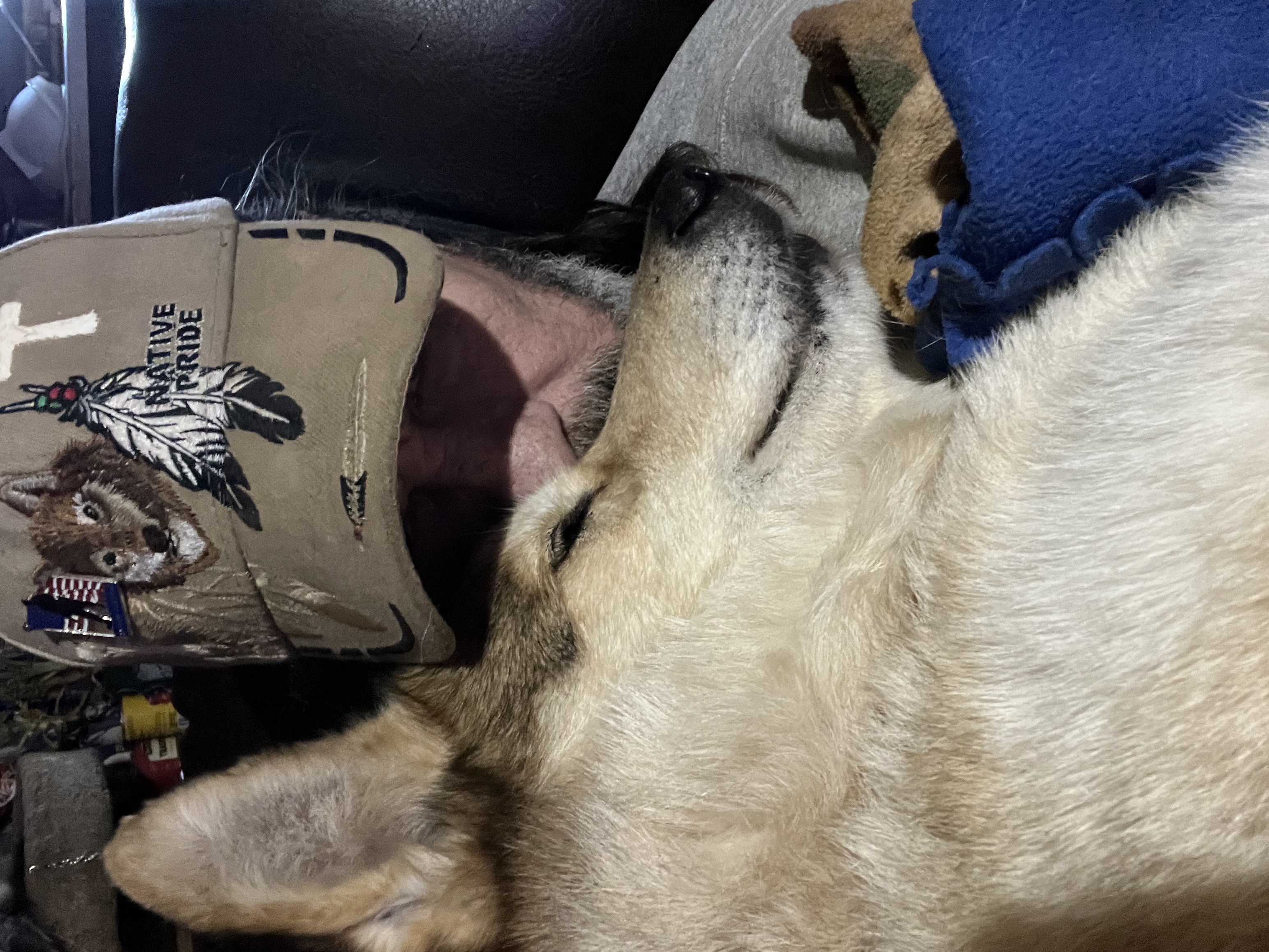 Image for TAKE MY YOKE