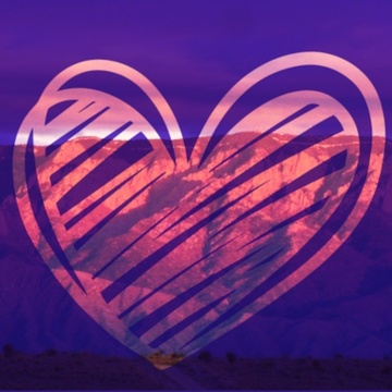 Image for Lavender 