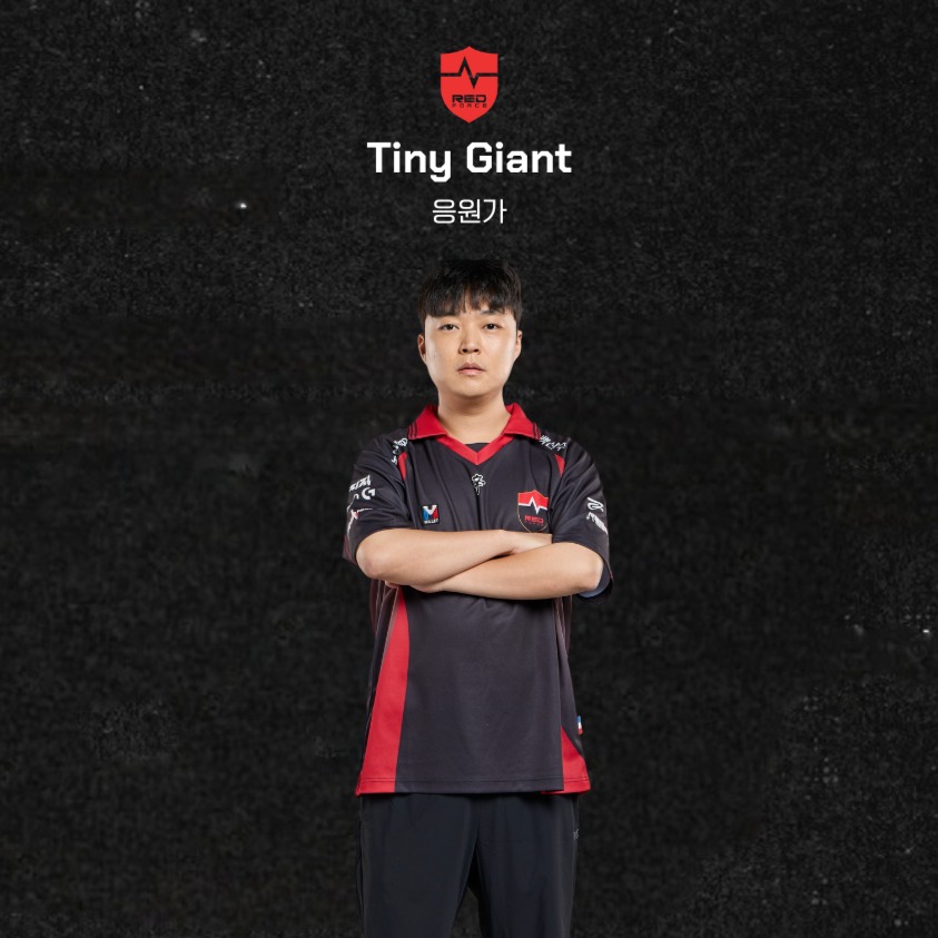 NS TFT Tiny Giant 응원가 artwork
