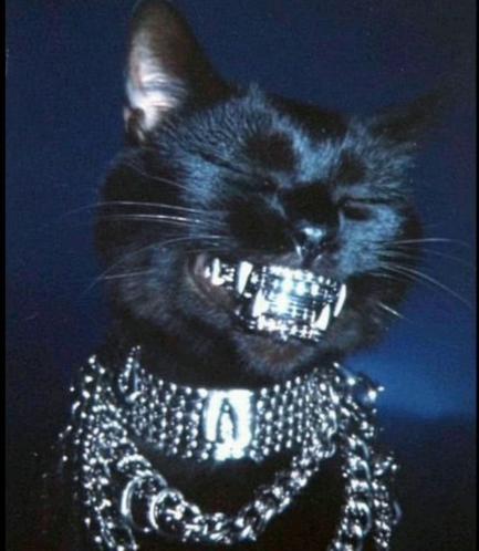 Image for PRADA - KENYAN DRILL 2026