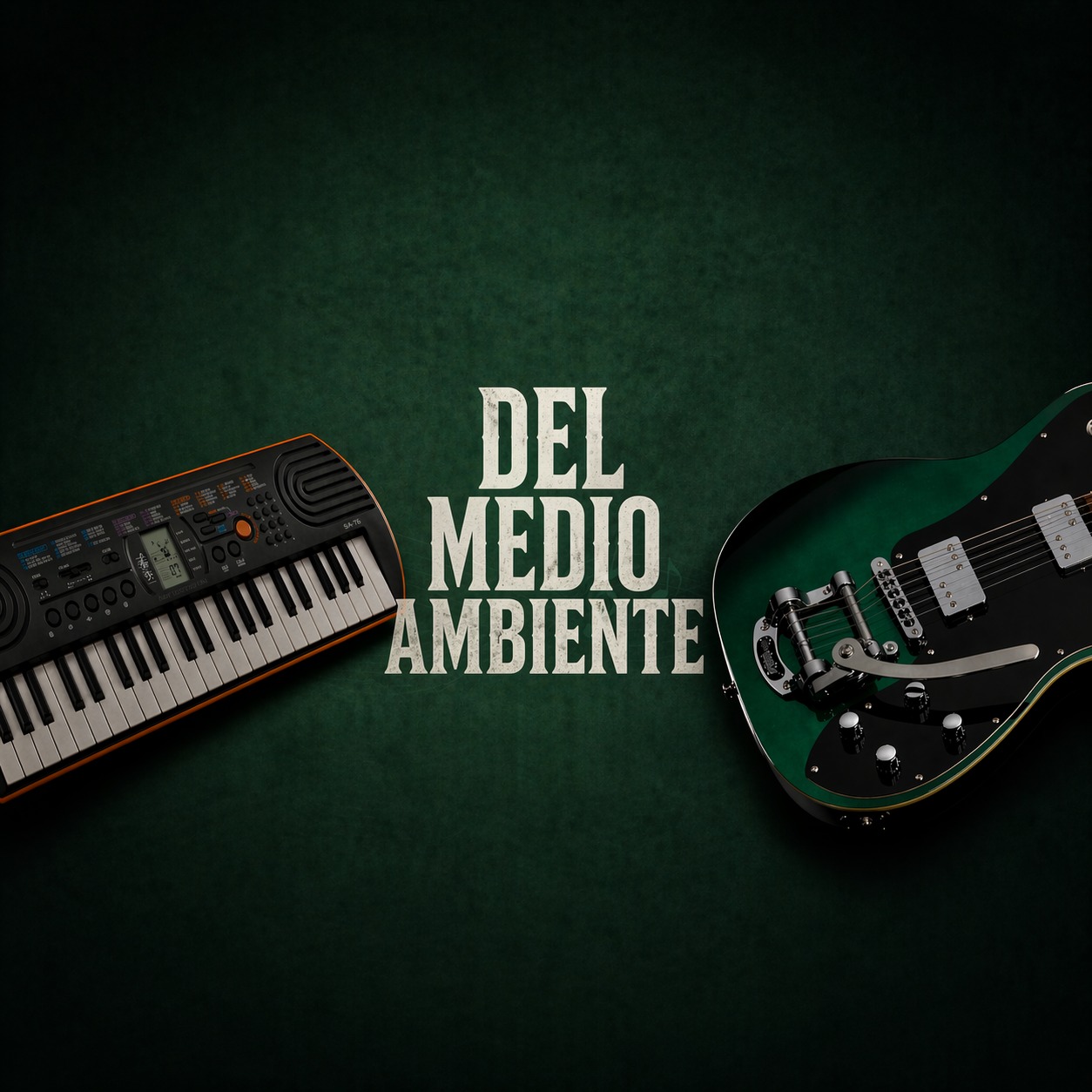 DEL MEDIO AMBIENTE