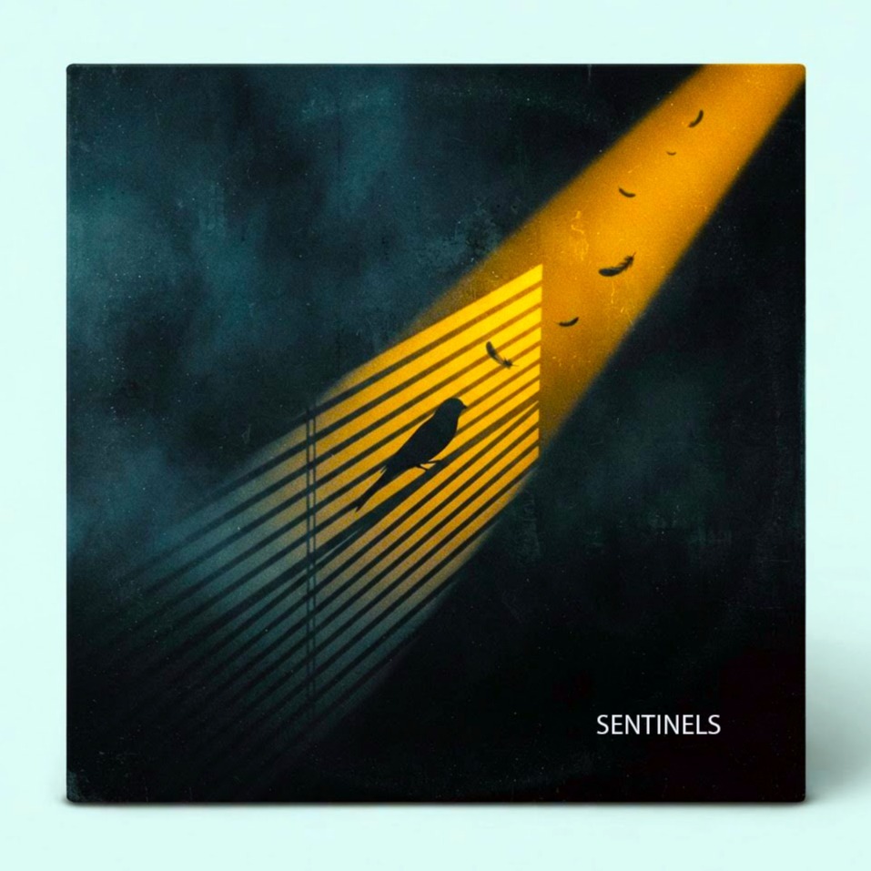 Sentinels artwork