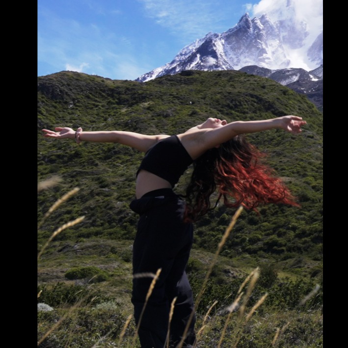 Patagonia Refugio artwork