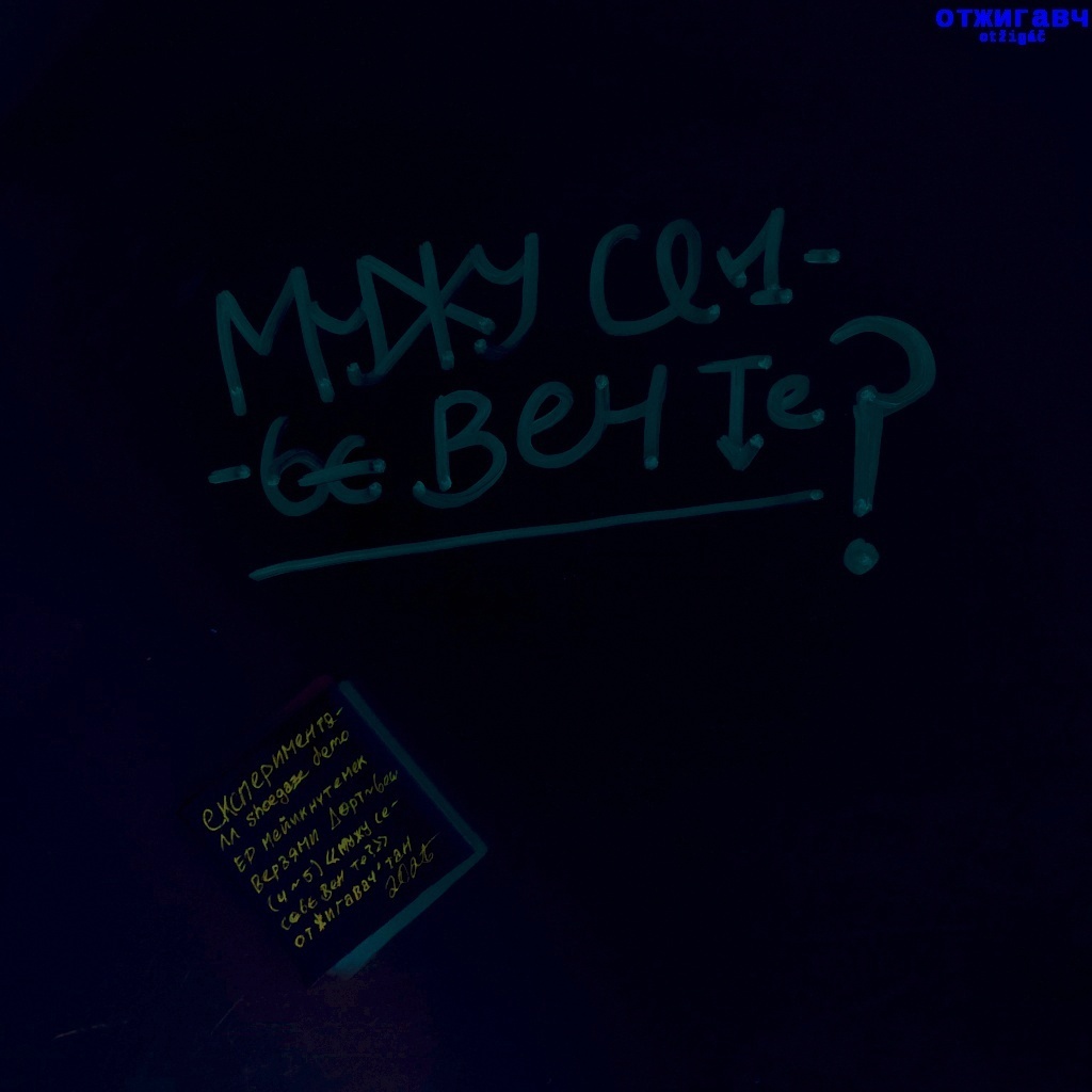 Image for мувжу сесебє вен те? (LP)