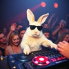 I need to get the beat
