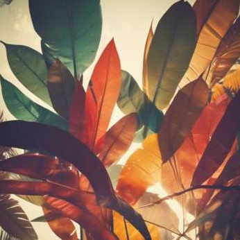 Image for My afrobeat songs