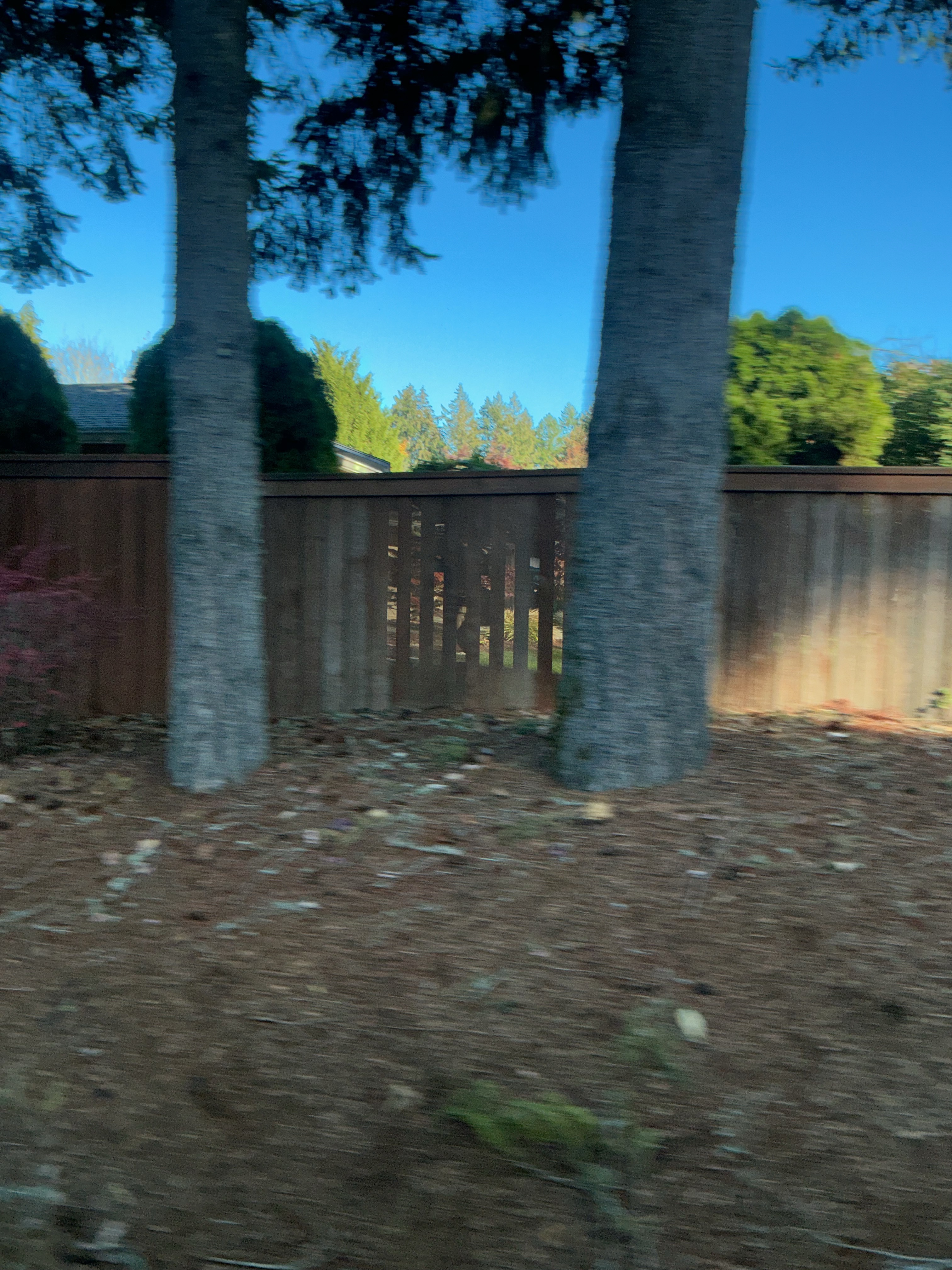 Long Drives to Oregon artwork