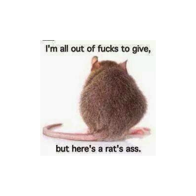 Image for calling out suno