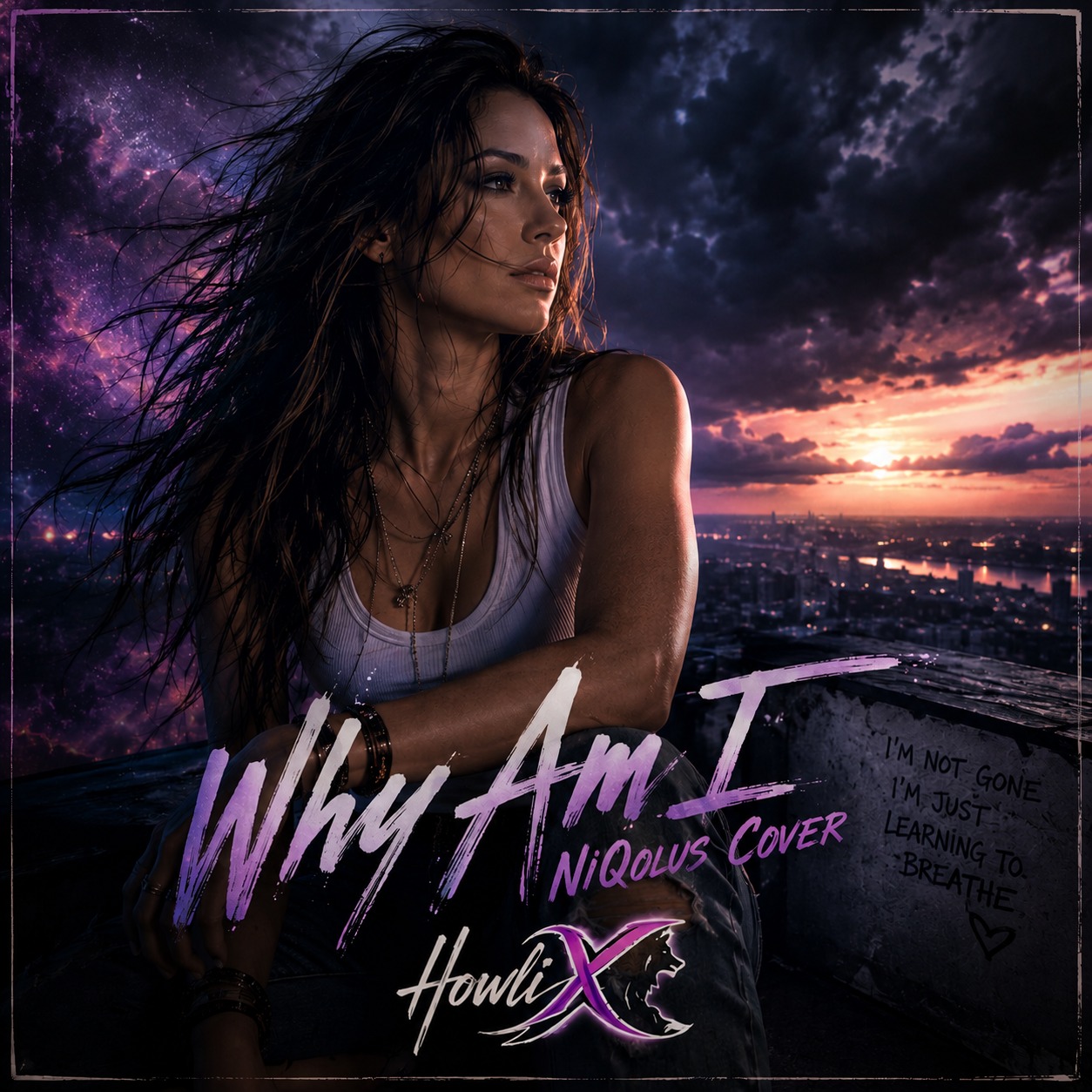 Why Am I (NiQolus Cover) artwork