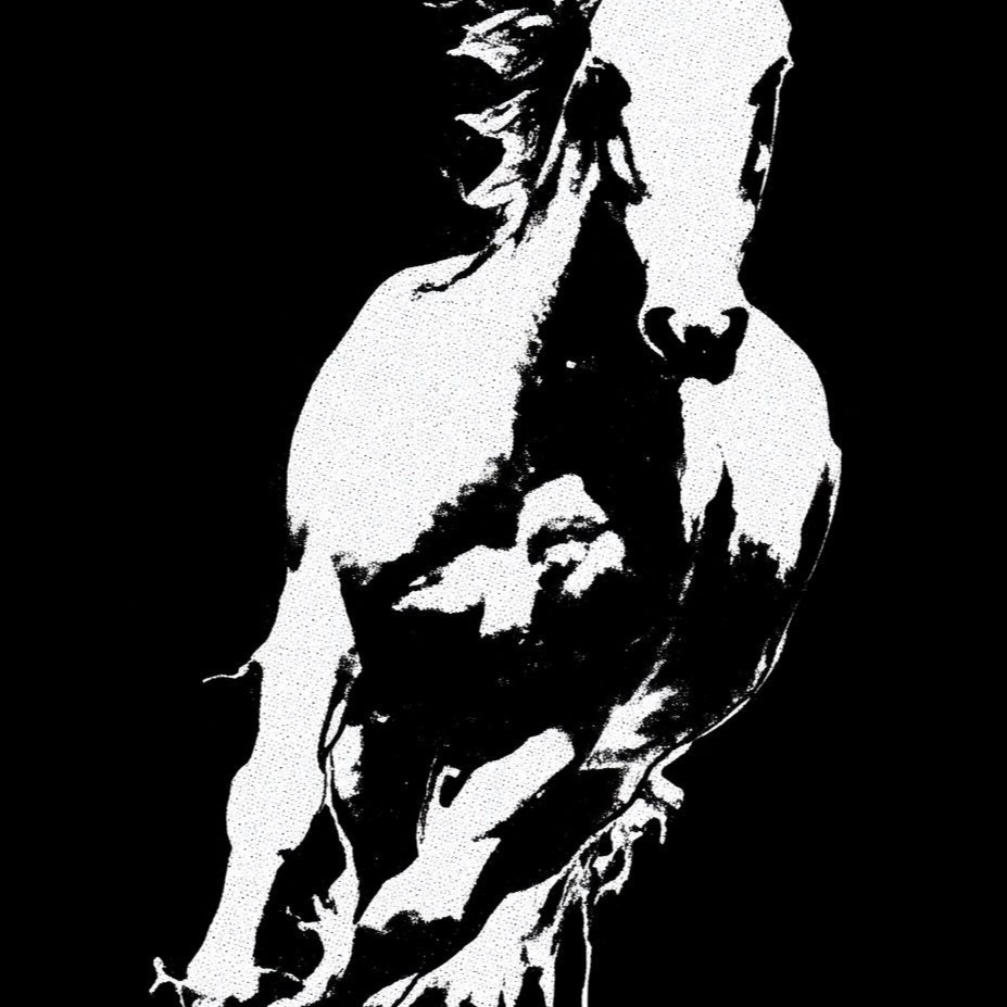 Profile picture for 𝕷𝖚𝖎𝖘𝖎𝖙𝖔