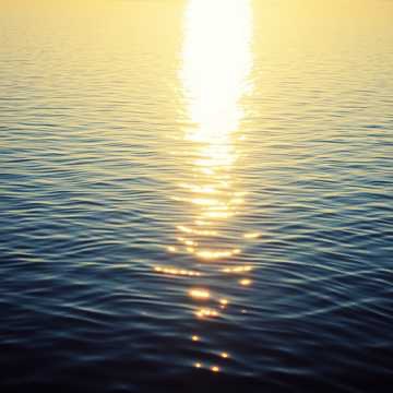 Image for Tech House/House 