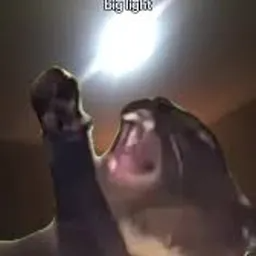 Profile picture for eman41413 please watch and sub