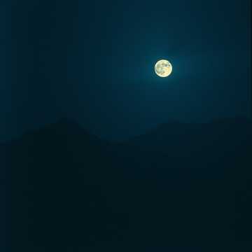 Elegy for the Hollow