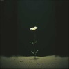 Cover image for test2