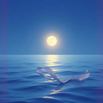 image for Soft Motion (23)