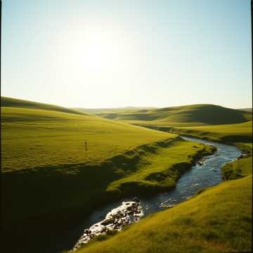Image for Psalms