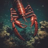 Cover image for Lobster Magnet