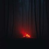 Ashes and Ember