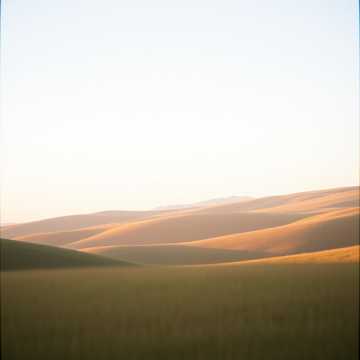 image for Dawns Quiet Guard (9)