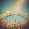 Regenboog (Remastered)