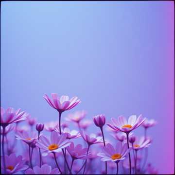 Frequency of Feelings