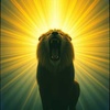 Lion Of Grace
