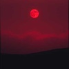 Cover image for Blood Moon