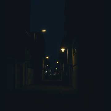 image for Everybody Got Somebody But Me (4)