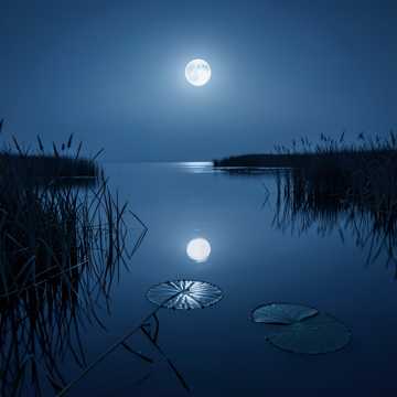 image for Still Waters (5)