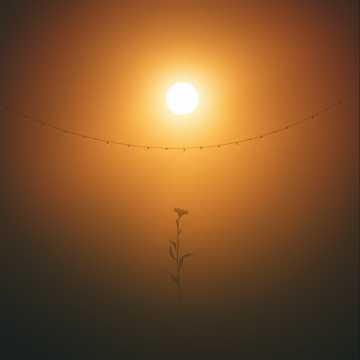 سپينه د محبت رڼا