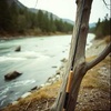 What The River Knows
