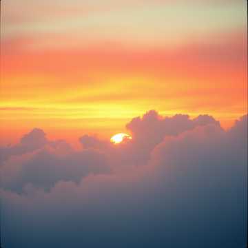 Wink Back at the Sunset