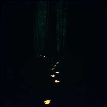 Image for Sad songs(by other artits)