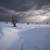 Стой! Куда же ты свалил?
