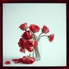 Wilted Roses