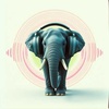 Cover image for 5G (elephant)
