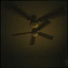 She Loves Those Ceiling Fans