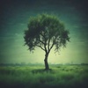 Wind in willow