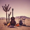 Desert Shadows