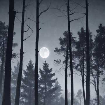 Track 212 (Remastered) by LexXxa | Suno