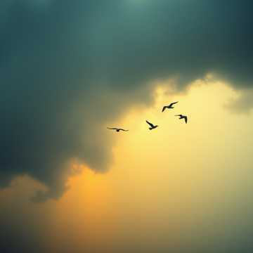 Everything I Never Said