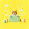 Cover image for Catastrophic Kitty Pee